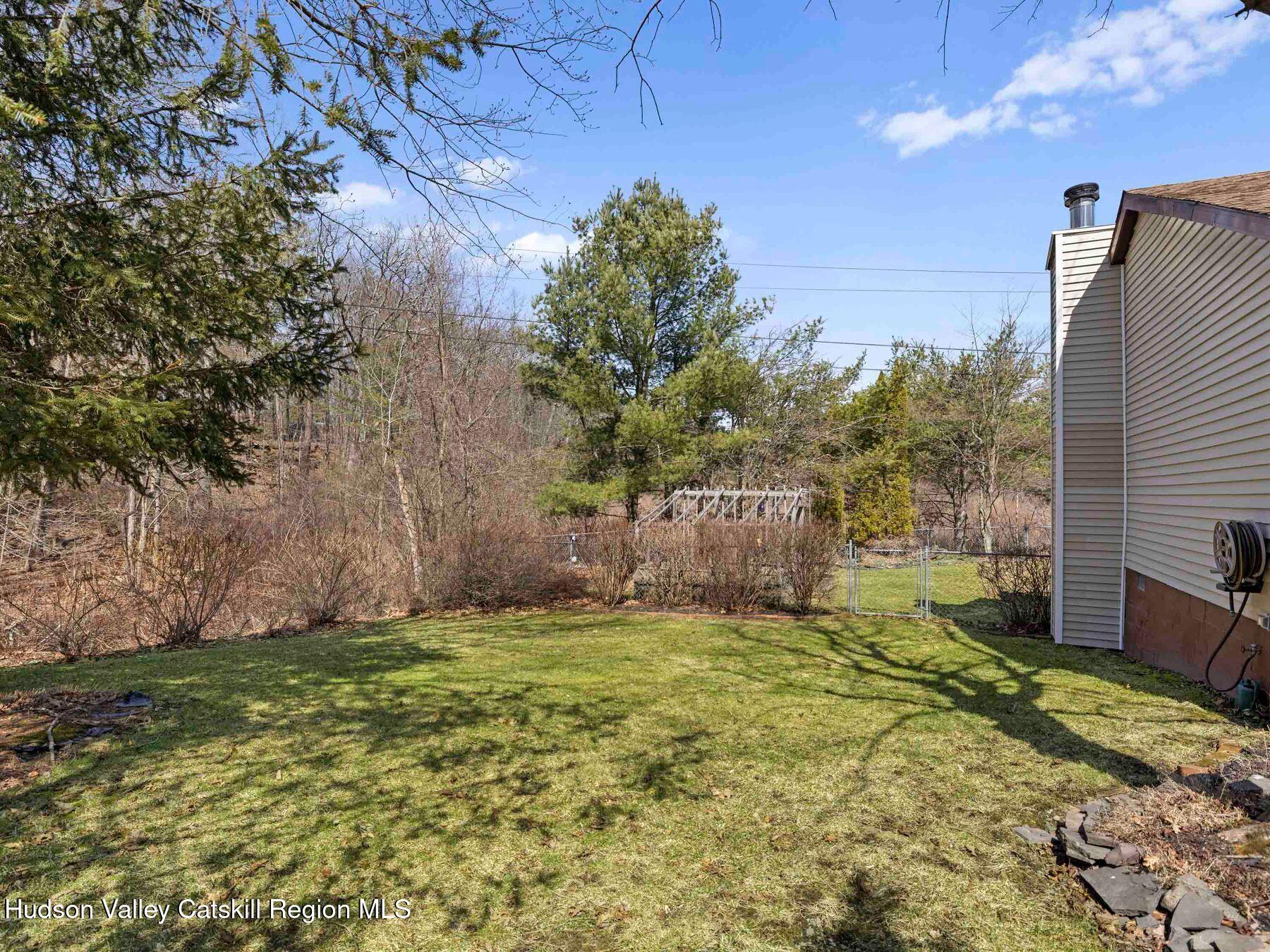 382 Cairo Junction Road Catskill, NY 12414 - Photo 34 of 38 a view of a backyard of the house