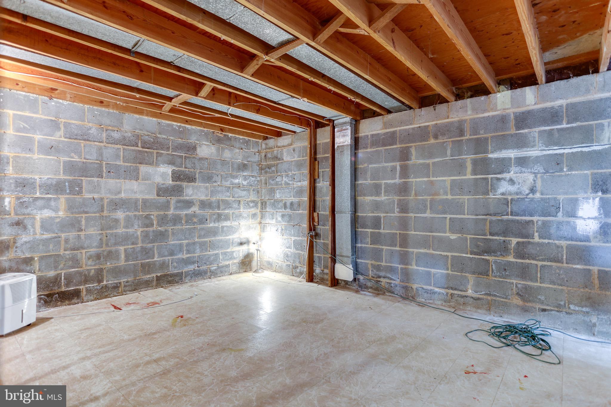 3221 South Glebe Road Arlington, VA 22202 - Photo 40 of 42 walkout basement / finish it the way you want it