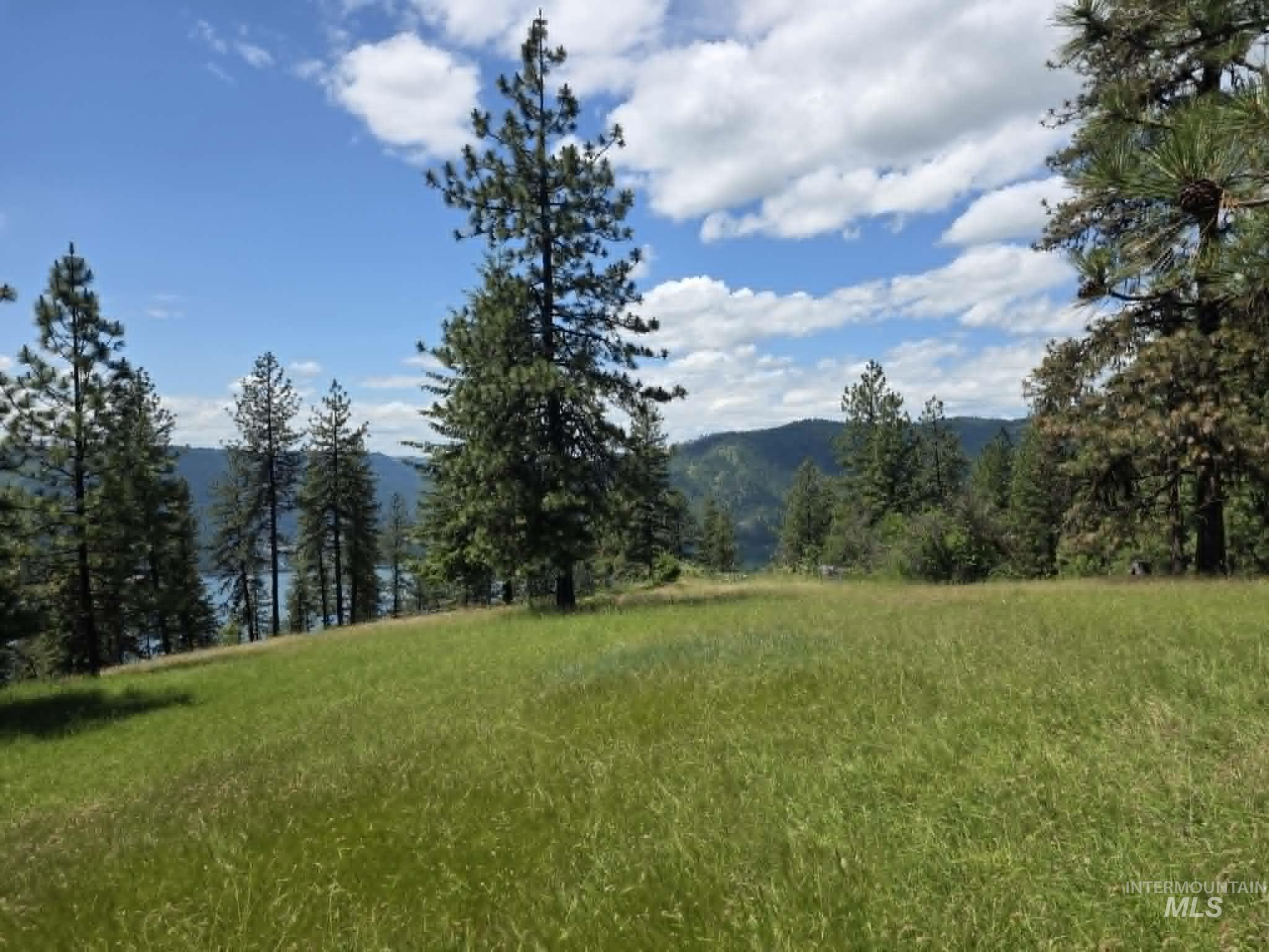 3871 Lakeview Road Orofino, ID 83544 - Photo 35 of 49