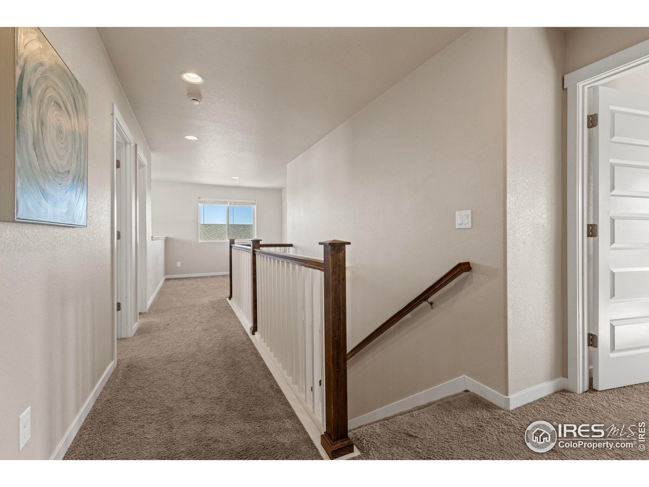 1223 Chilcott Street Berthoud, CO 80513 - Photo 13 of 38