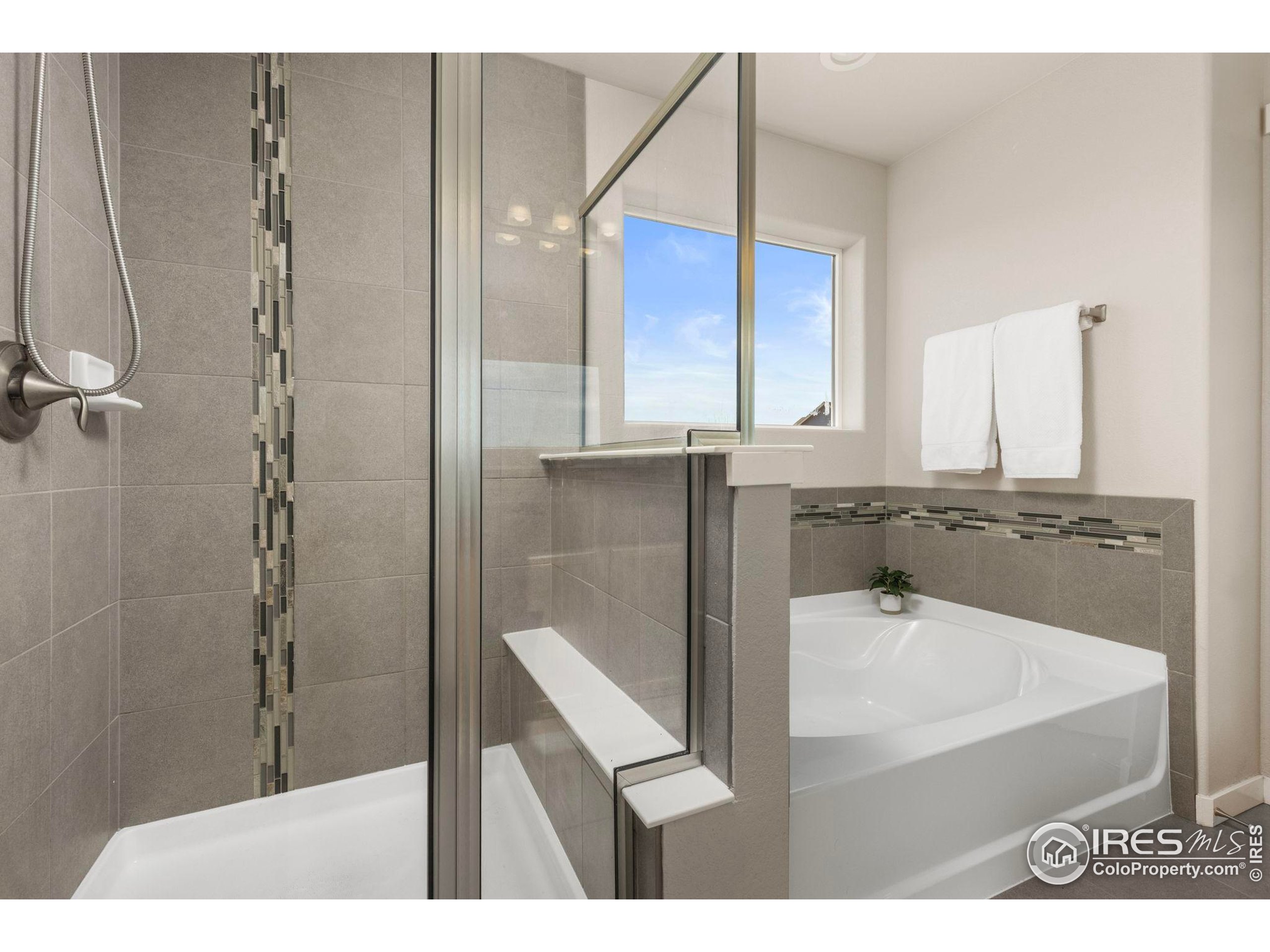 1223 Chilcott Street Berthoud, CO 80513 - Photo 17 of 38