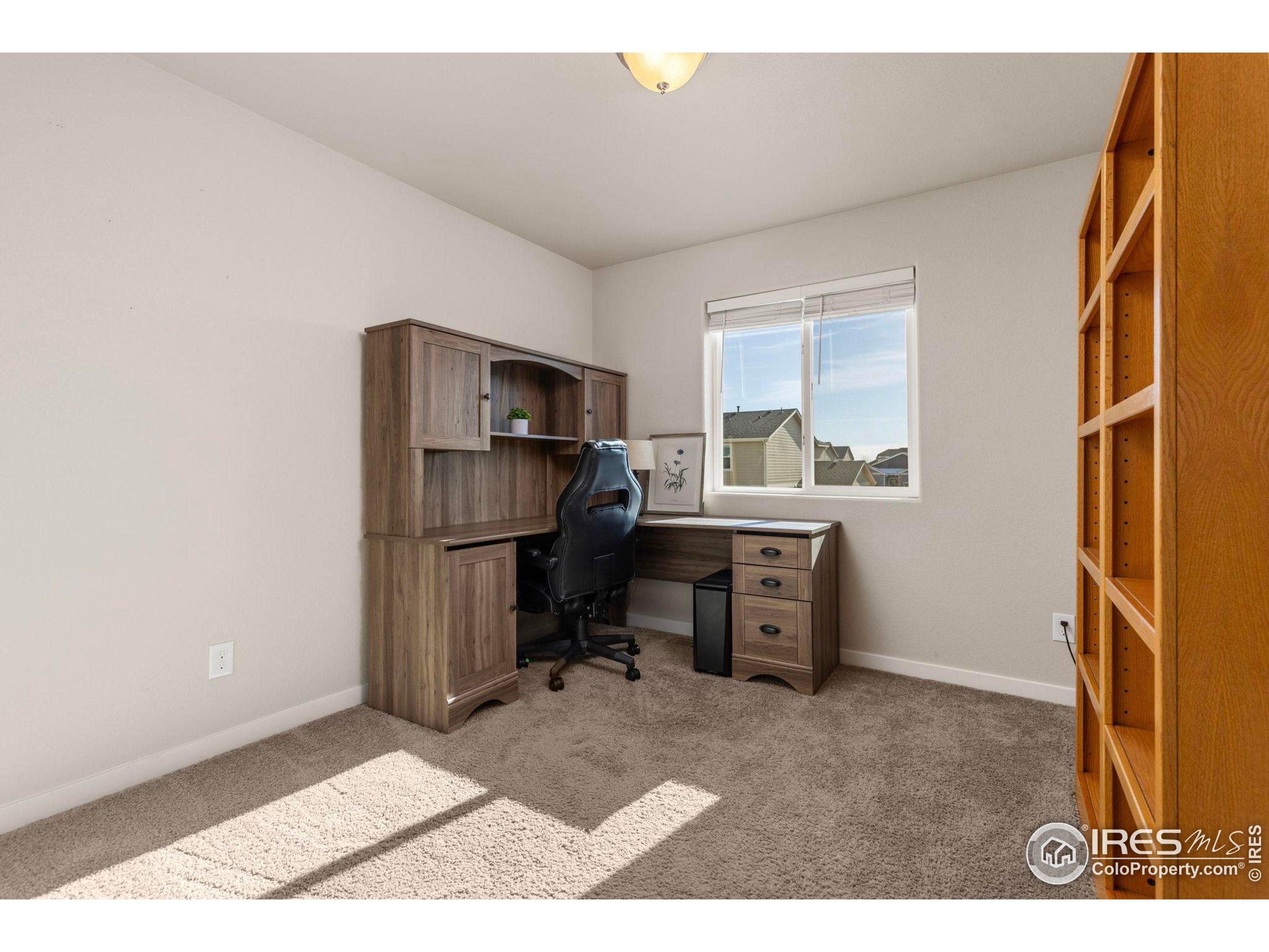 1223 Chilcott Street Berthoud, CO 80513 - Photo 21 of 38