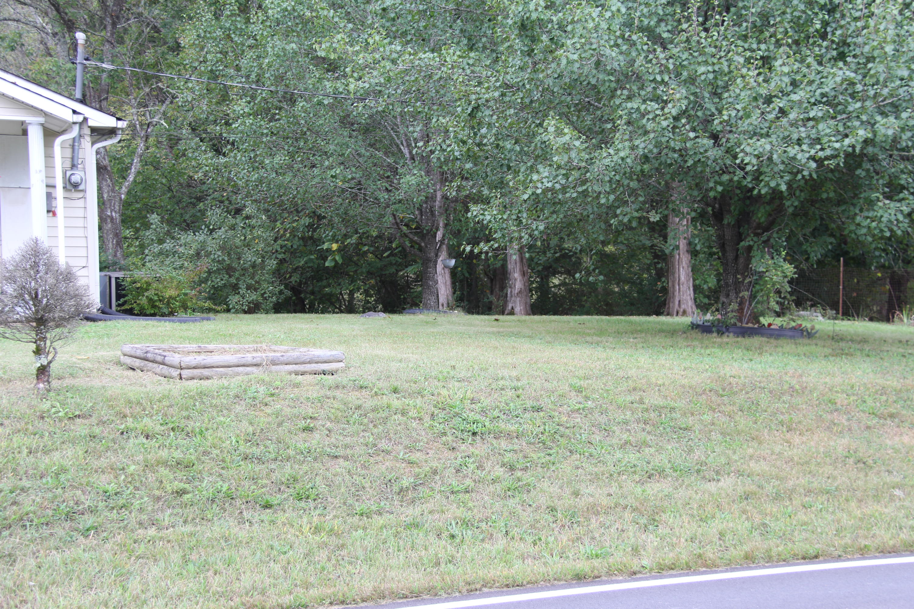 1035 Raccoon Valley Road Maynardville, TN 37807 - Photo 17 of 17 Side yard