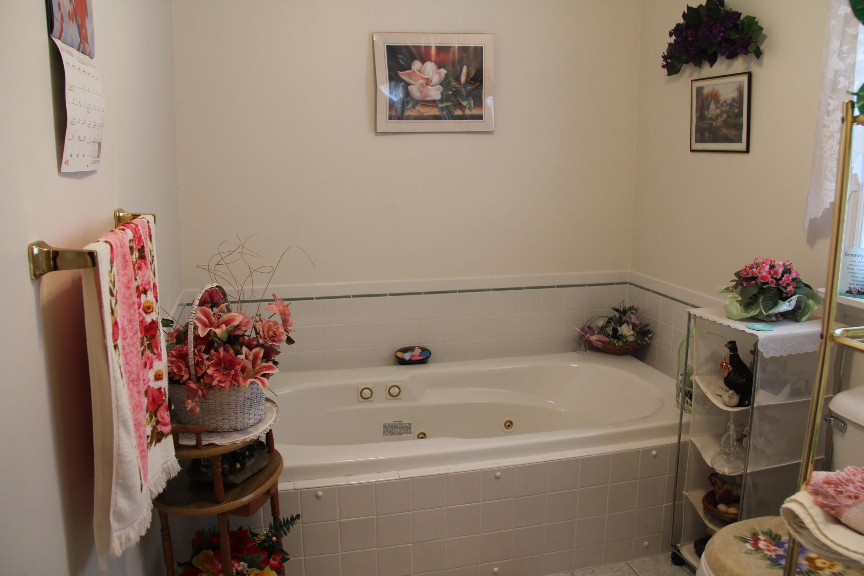1035 Raccoon Valley Road Maynardville, TN 37807 - Photo 8 of 17 Master bath