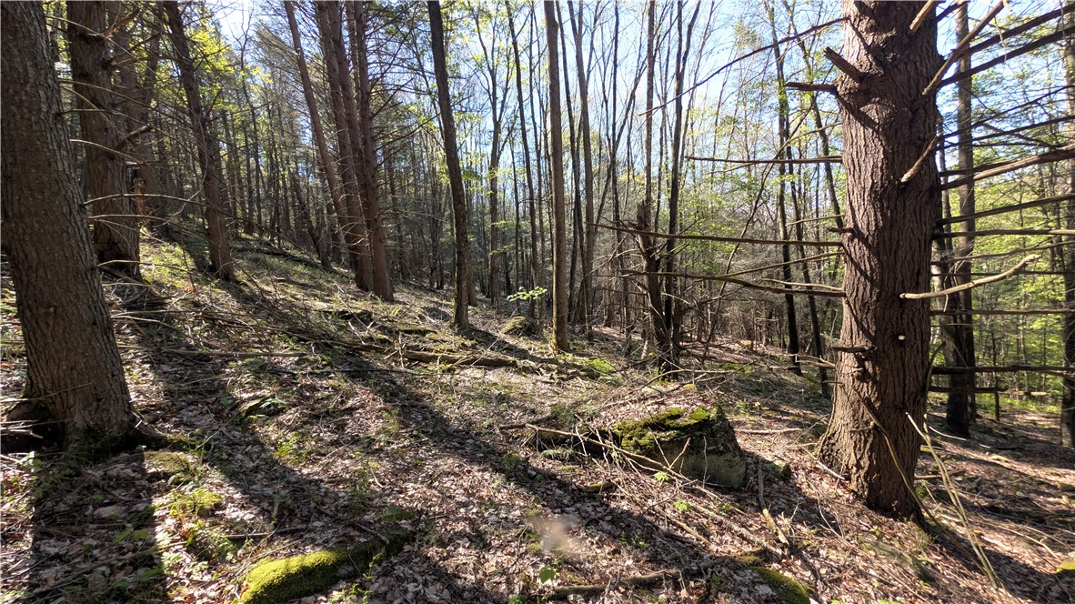 Lot 5 East River Road Andes, NY 13731 - Photo 29 of 39
