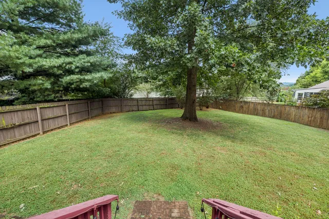 a view of a yard with a tree