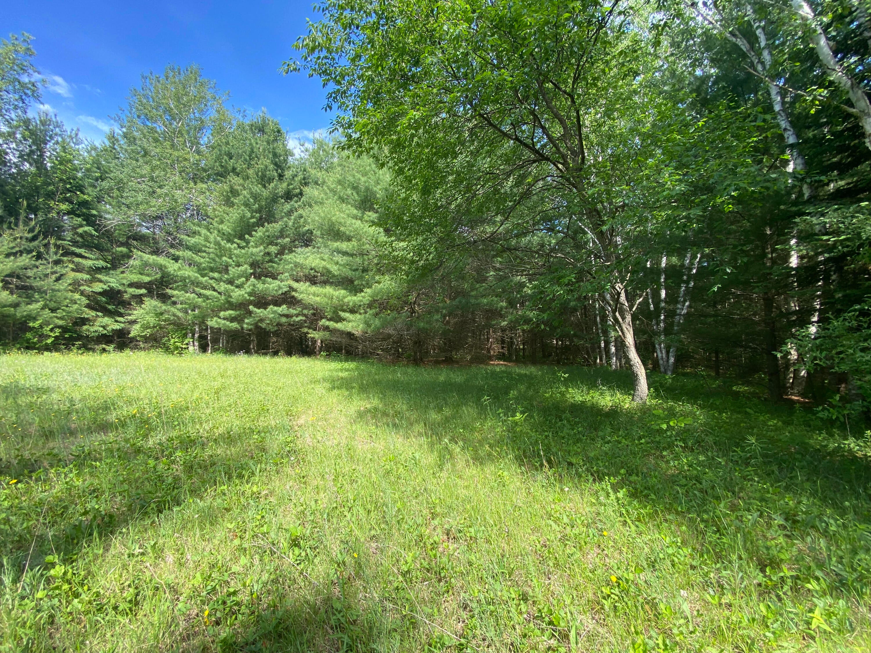 Townline Rd Road Rose City, MI 48654 - Photo 23 of 26 Gallery Image 23