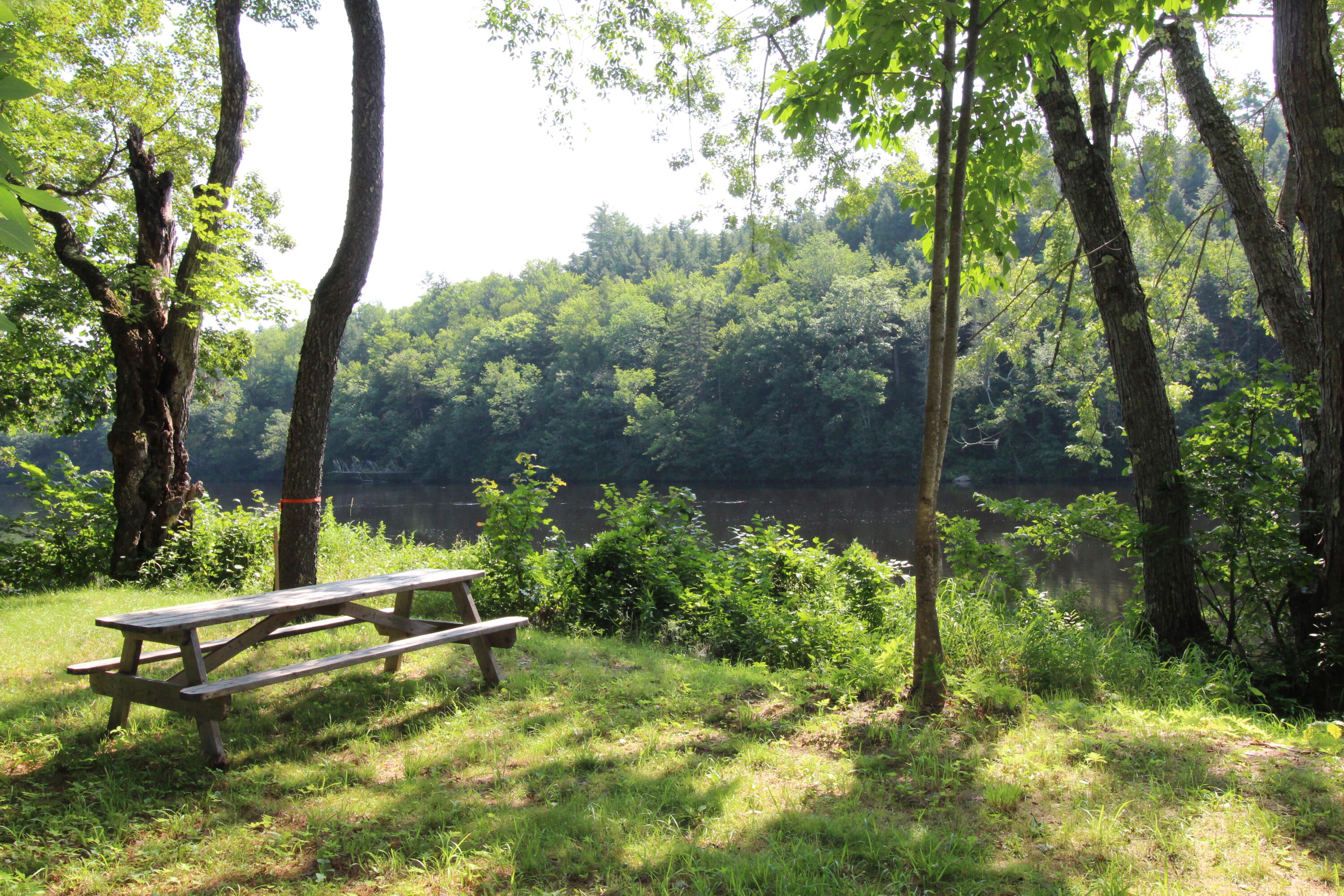 30 Langley Road Bethel, ME 04217 - Photo 8 of 60 Picnic Area