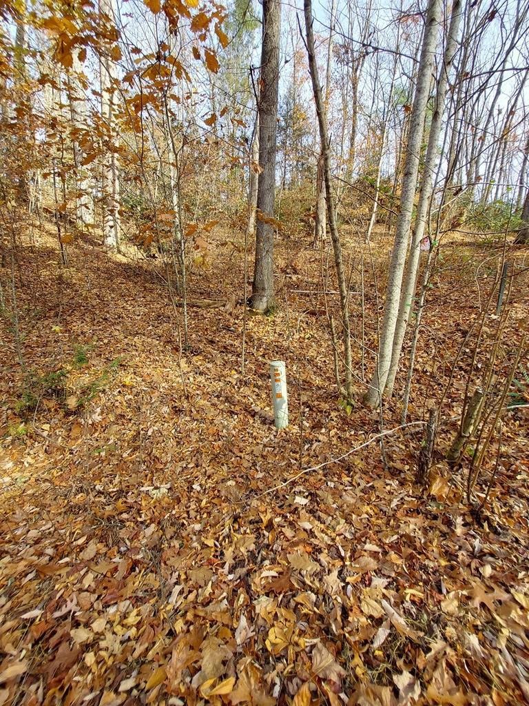 45 Sonshine Ridge Road Cosby, TN 37722 - Photo 9 of 10