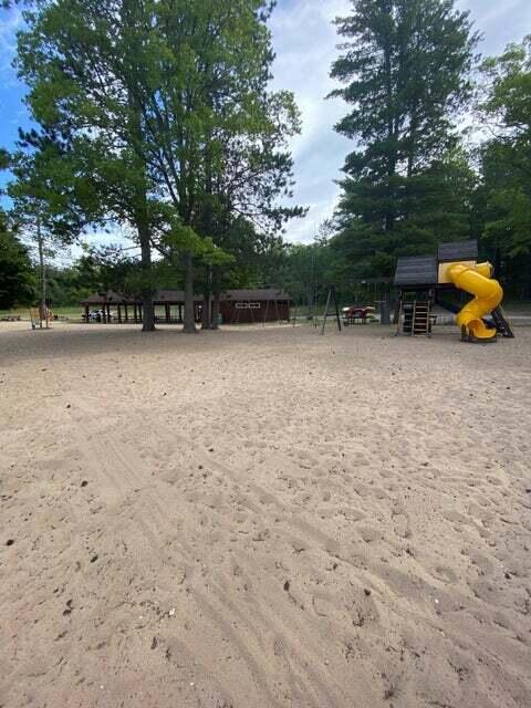 24333 Ranch House Trail Atlanta, MI 49709 - Photo 41 of 50 42