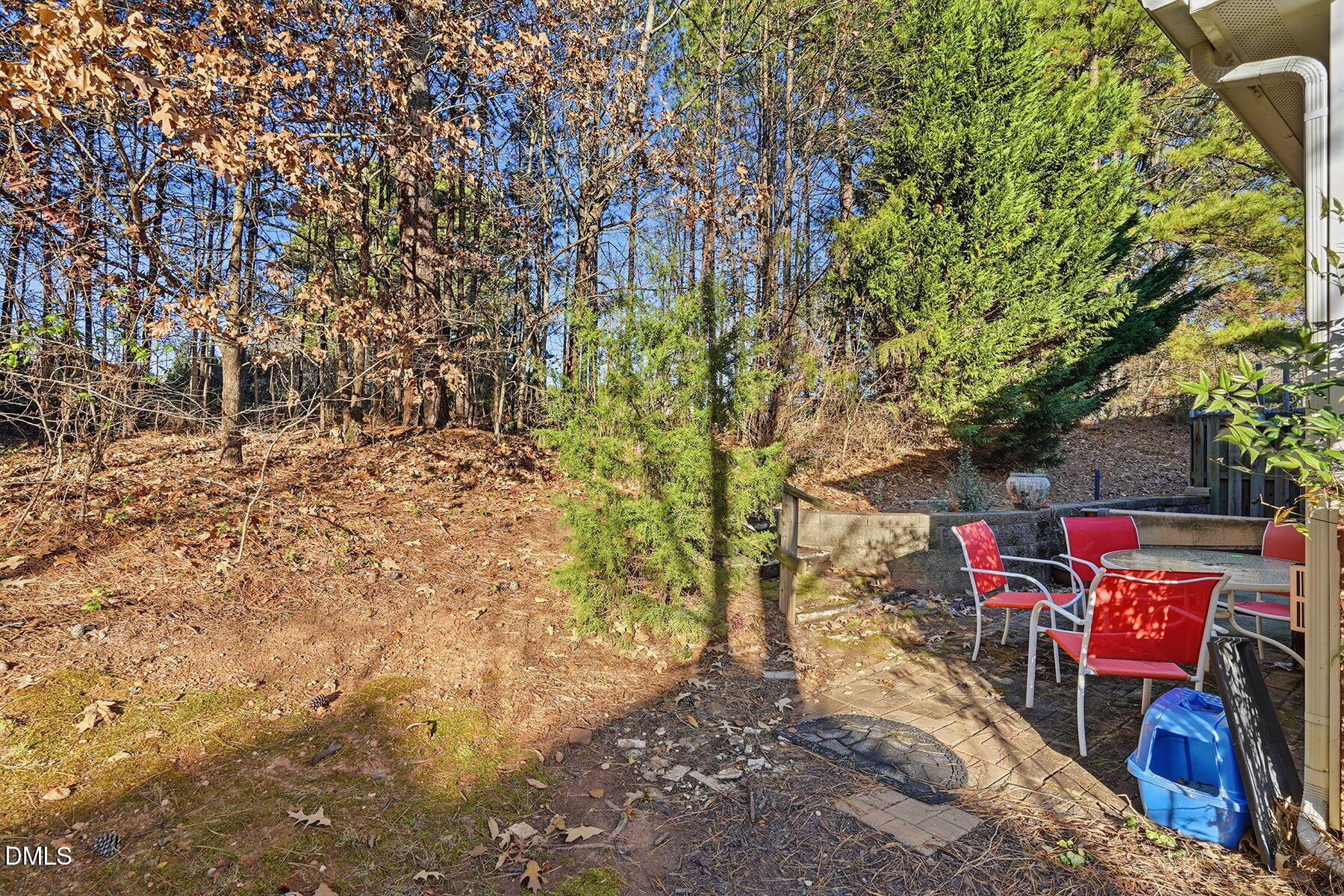 823 Swan Neck Lane Raleigh, NC 27615 - Photo 33 of 35 Back yard