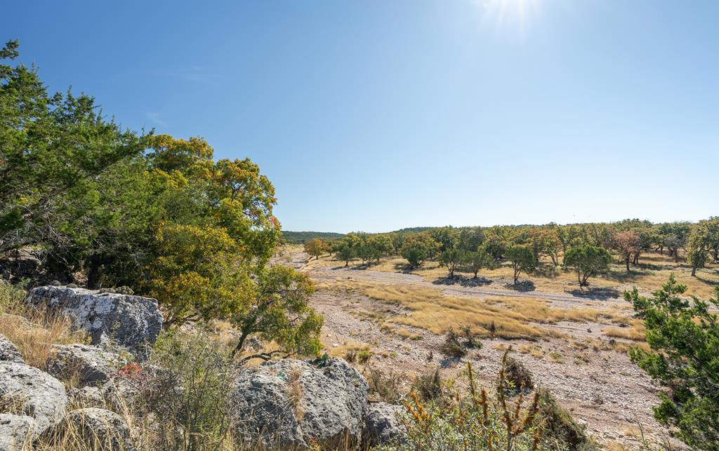 Lot 6 West W Highway, Unit 6 Hunt, TX 78024 - Photo 40 of 40 a view of a dry yard with green space