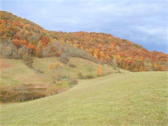 248 Somerset Farm Road Meadow Bridge, WV 25976 - Photo 64 of 98 Gallery Image 64