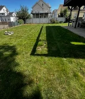 $2,900 | 164 Chestnut Street, Unit 2, Waltham, MA 02453