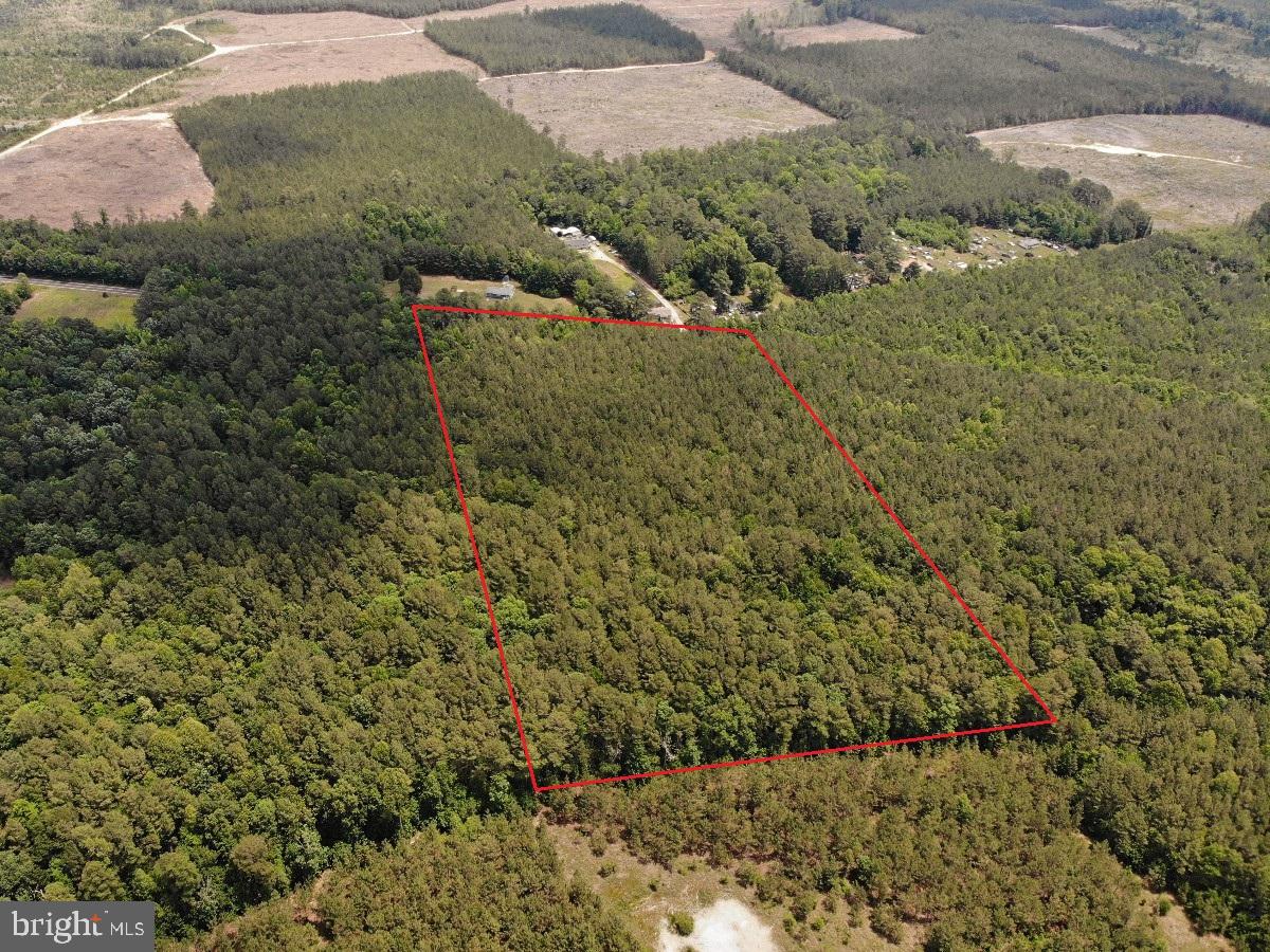 Salisbury Rd Spring Grove Spring Grove, VA 23881 - Photo 6 of 23