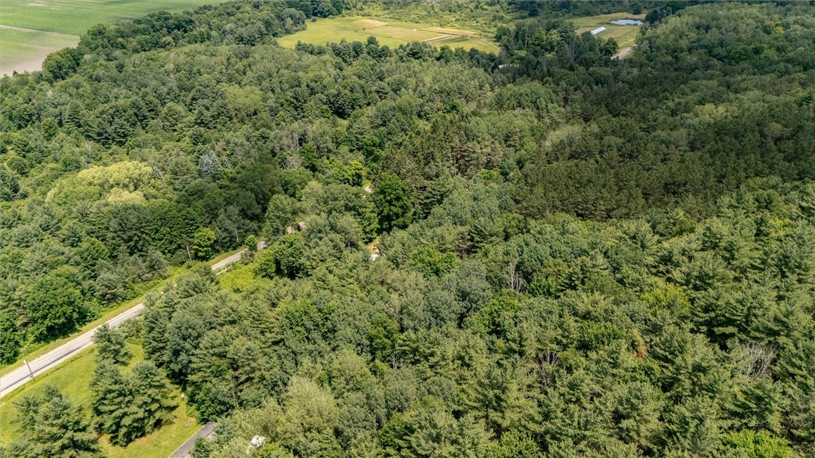 7676 Bean Station Road Urbana, NY 14840 - Photo 16 of 35