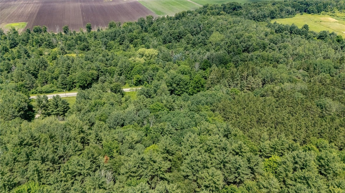 7676 Bean Station Road Urbana, NY 14840 - Photo 17 of 35