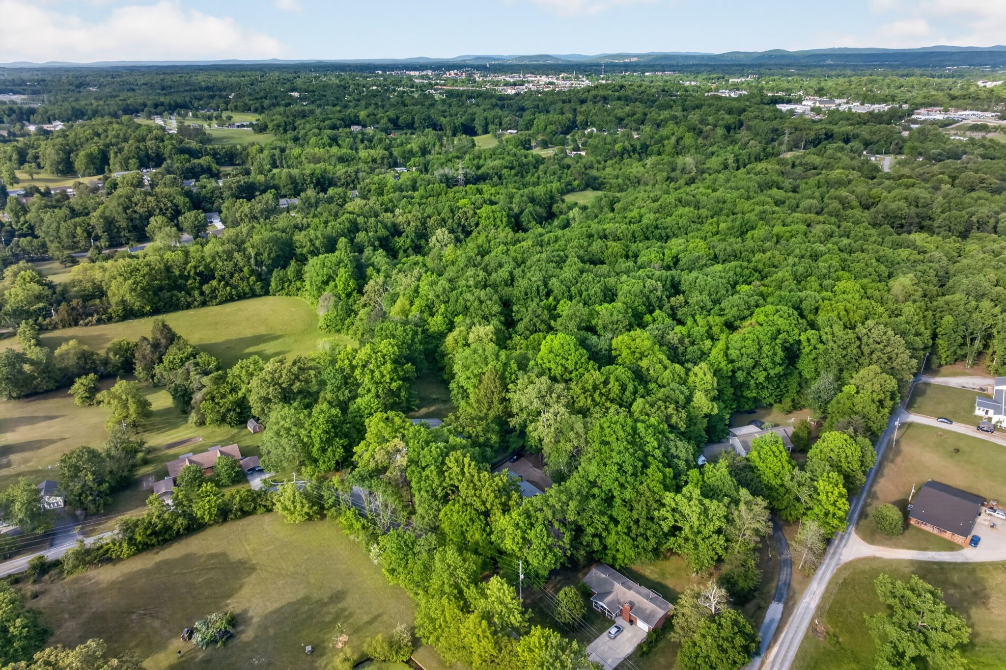 1342 Holladay Road Cookeville, TN 38501 - Photo 44 of 52
