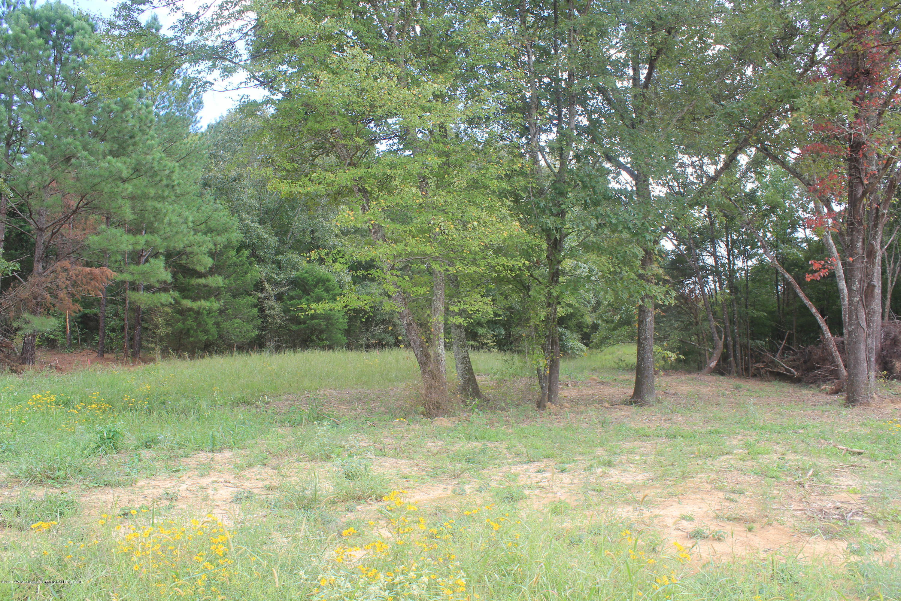 64 Hayward Road Byhalia, MS 38611 - Photo 1 of 28 IMG_4797