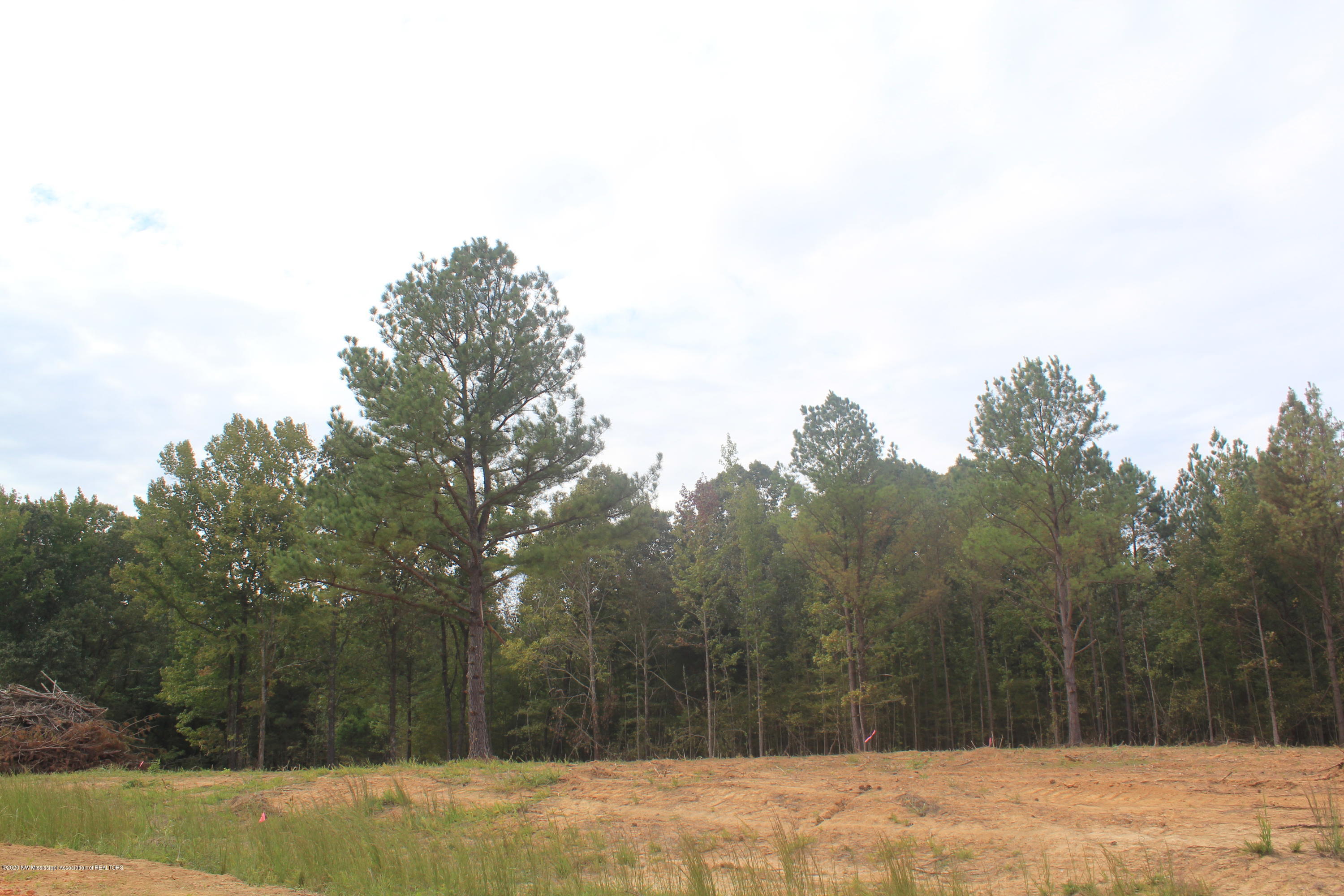 64 Hayward Road Byhalia, MS 38611 - Photo 11 of 28 IMG_4807