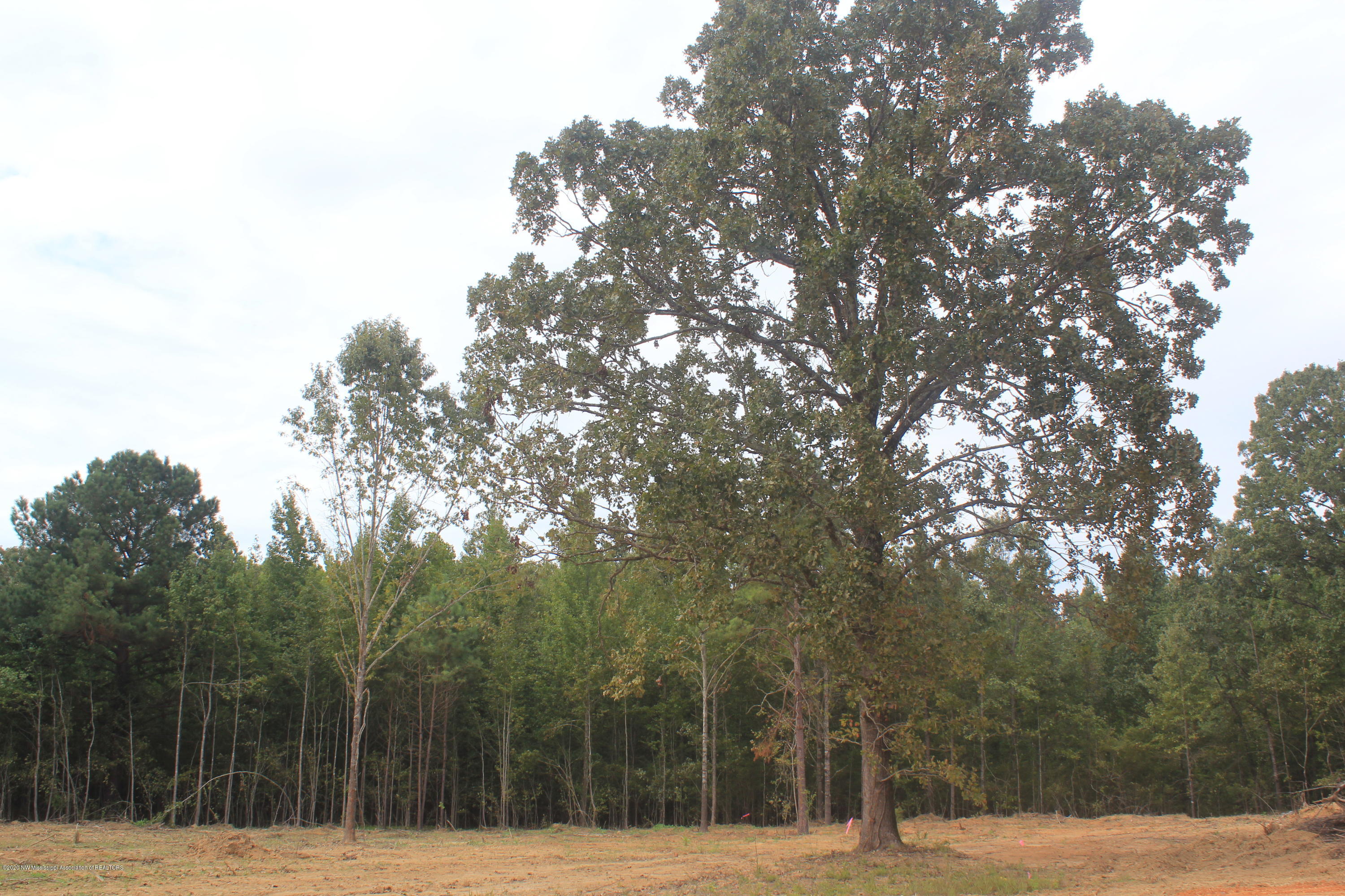 64 Hayward Road Byhalia, MS 38611 - Photo 12 of 28 IMG_4808