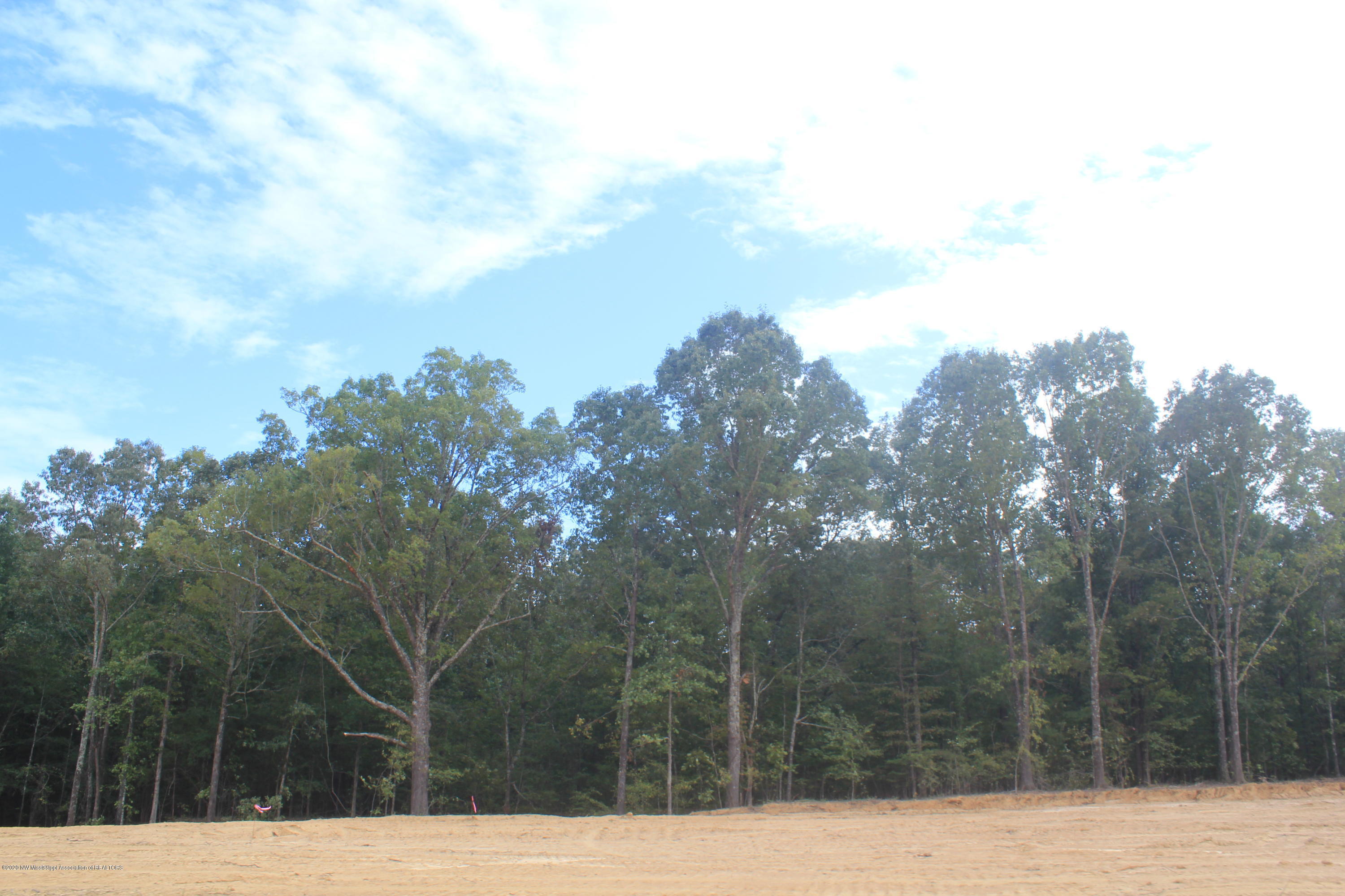 64 Hayward Road Byhalia, MS 38611 - Photo 15 of 28 IMG_4811