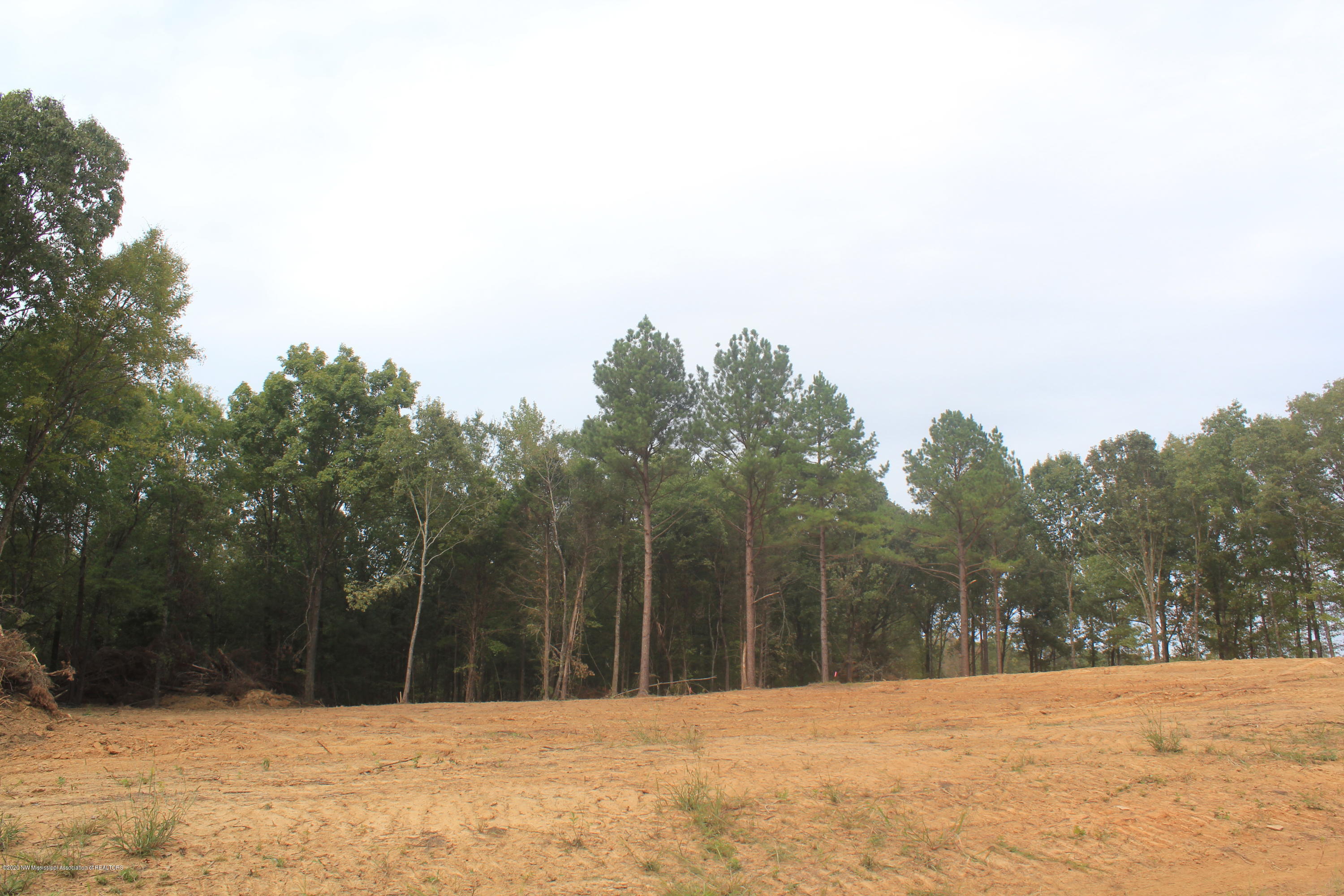 64 Hayward Road Byhalia, MS 38611 - Photo 3 of 28 IMG_4799
