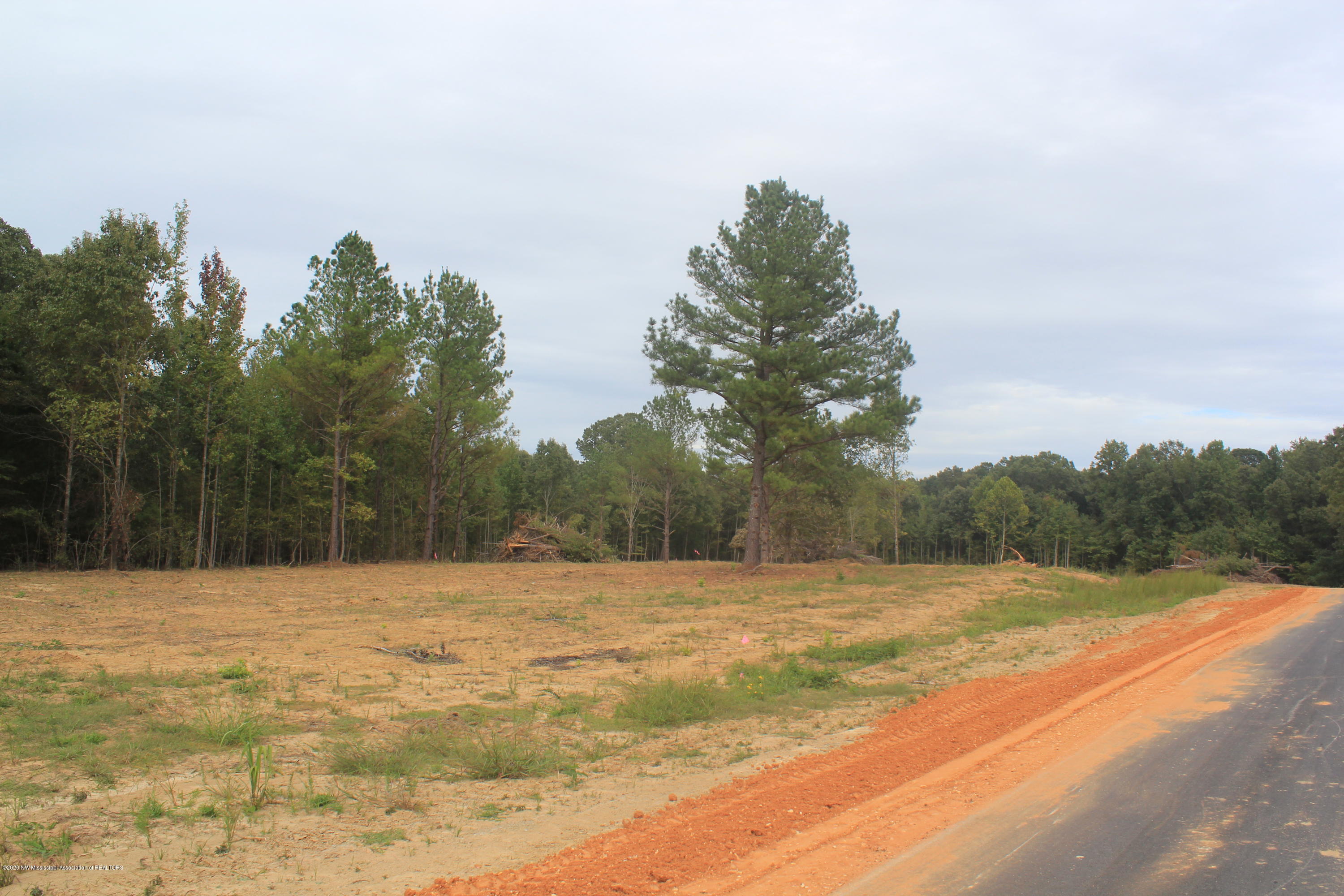 64 Hayward Road Byhalia, MS 38611 - Photo 8 of 28 IMG_4804