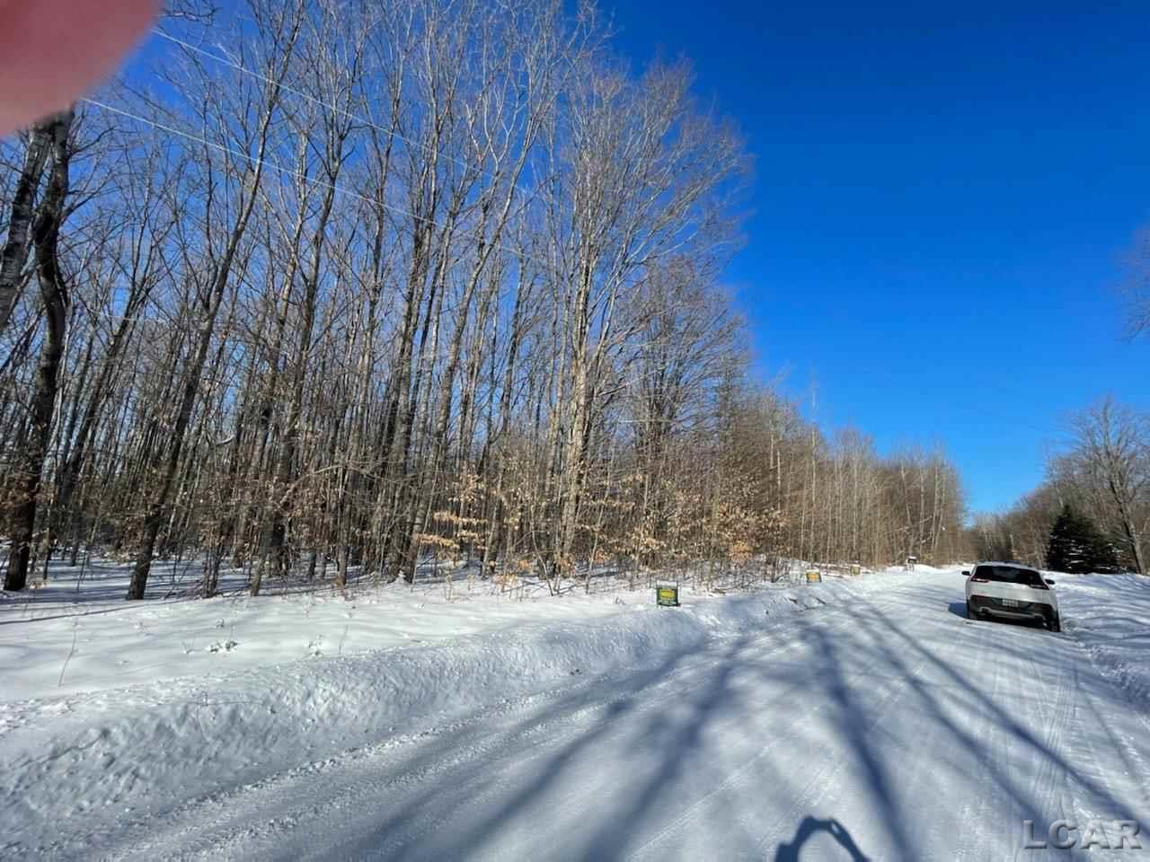 Lot 134 Twin Peakes Road Frederic, MI 49733 - Photo 4 of 5 50064106-3.JPG