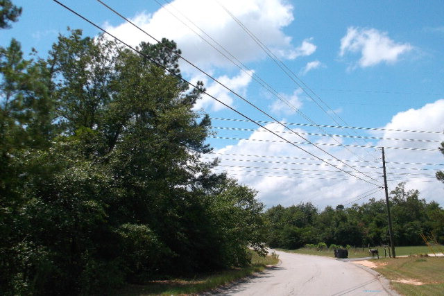 4716 Rollins Road Augusta, GA 30906 - Photo 1 of 1 Main View