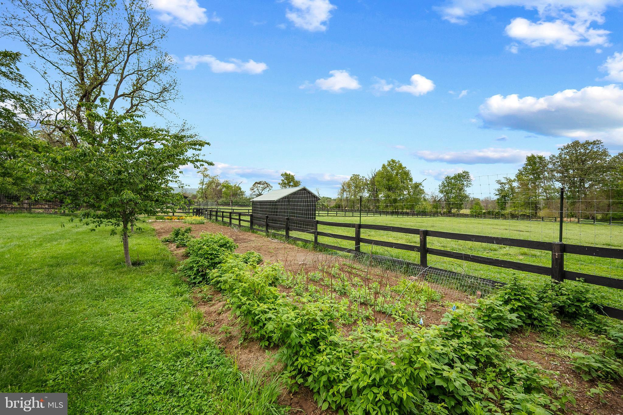 20597 Airmont Road Bluemont, VA 20135 - Photo 37 of 42