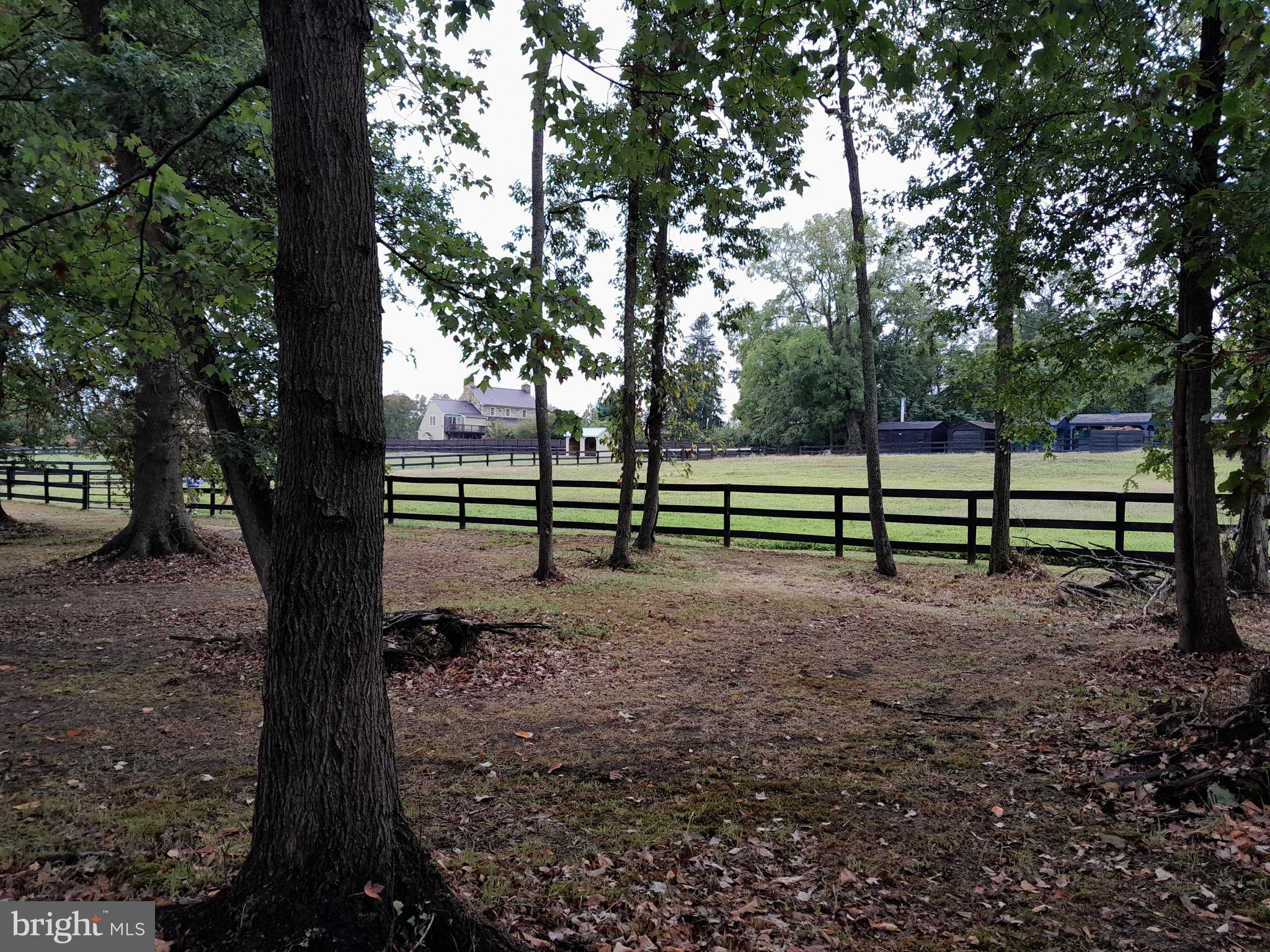20597 Airmont Road Bluemont, VA 20135 - Photo 41 of 42