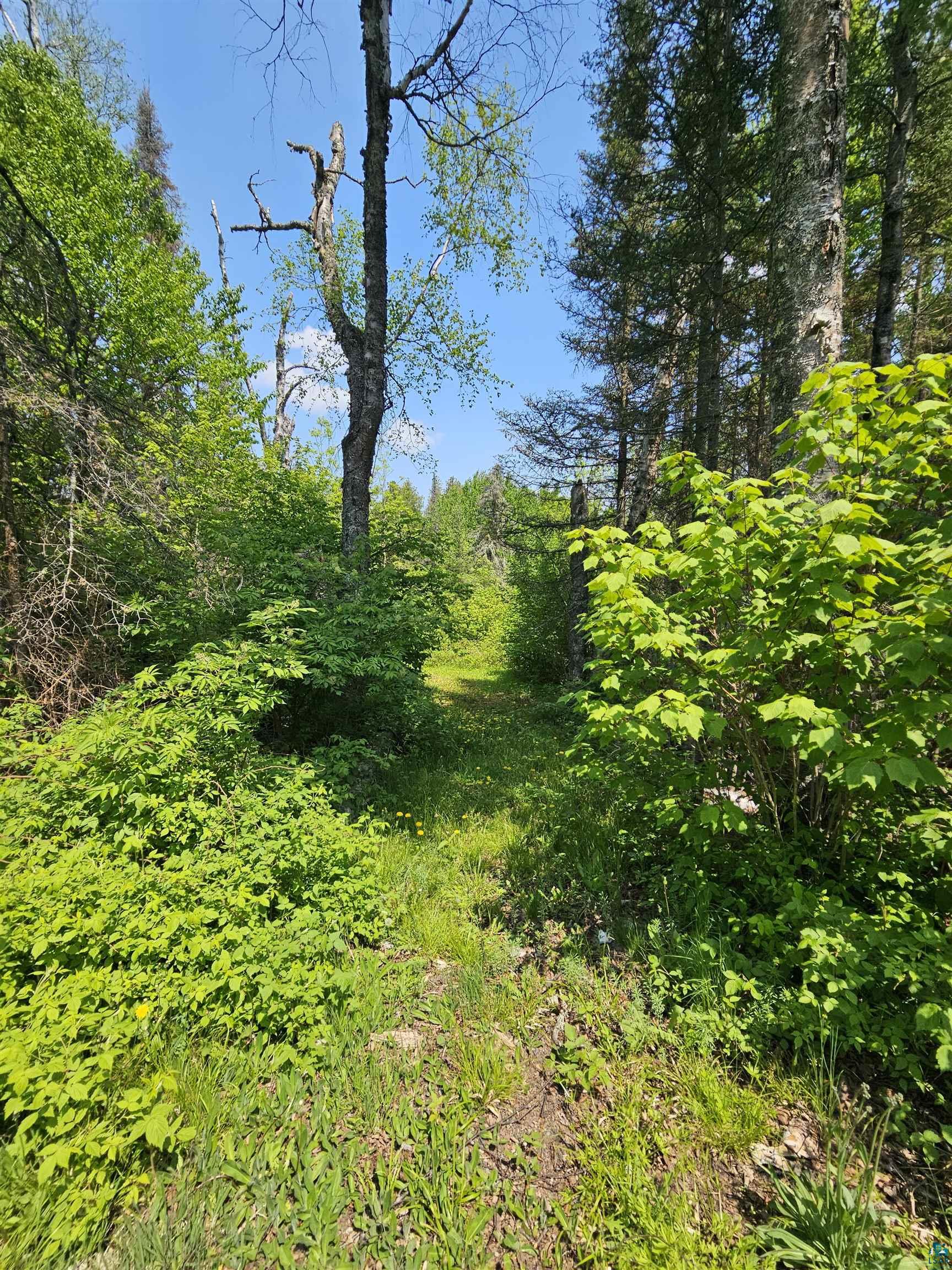 839 Loon Road Two Harbors, MN 55616 - Photo 20 of 26