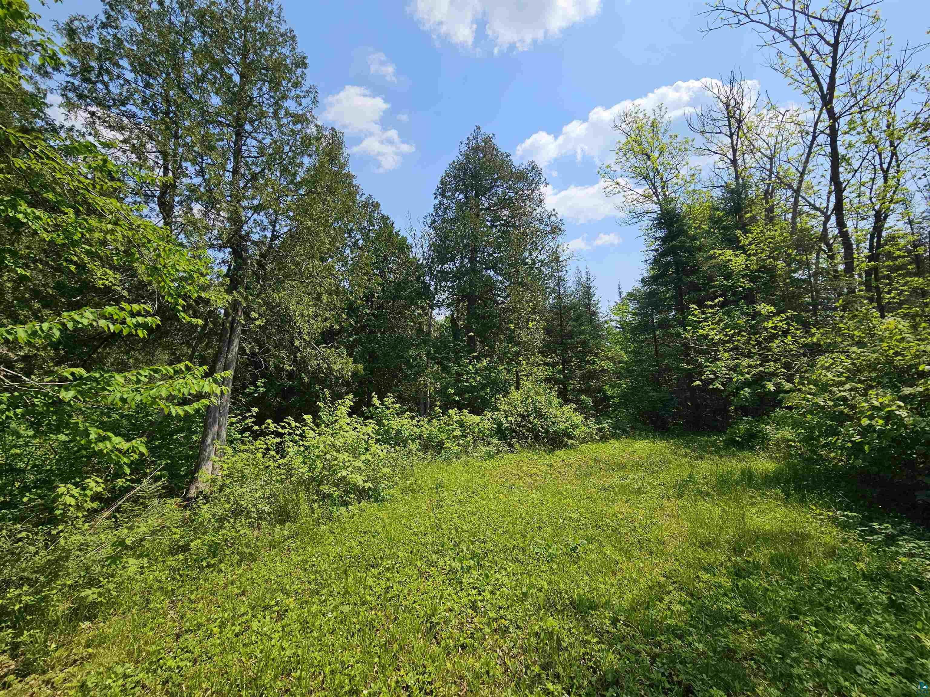839 Loon Road Two Harbors, MN 55616 - Photo 23 of 26