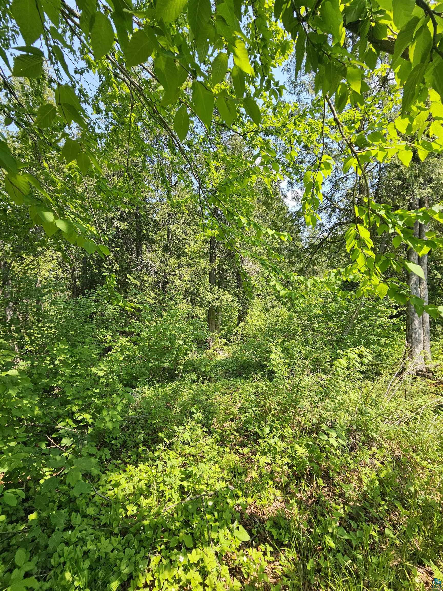 839 Loon Road Two Harbors, MN 55616 - Photo 24 of 26