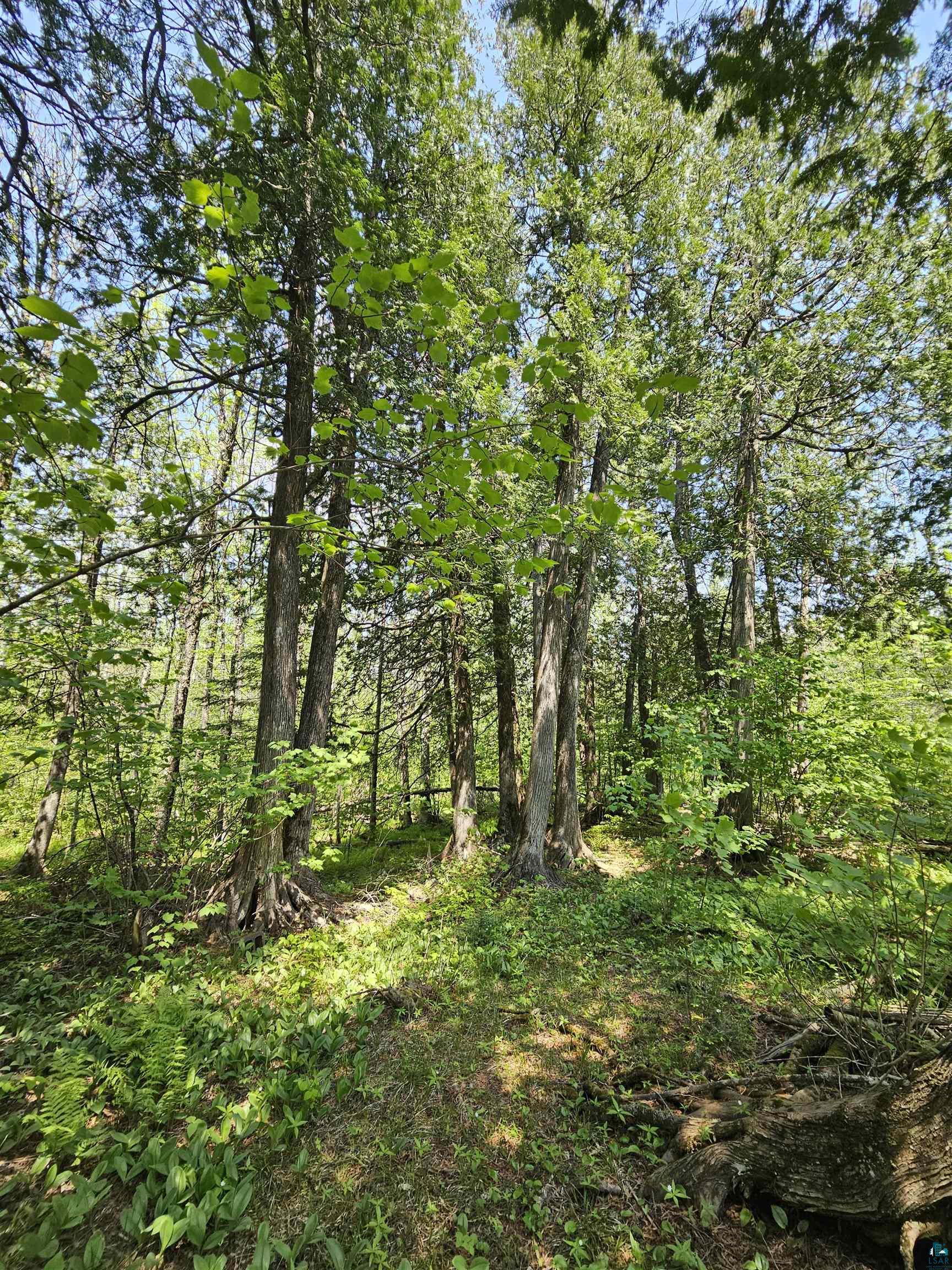 839 Loon Road Two Harbors, MN 55616 - Photo 25 of 26