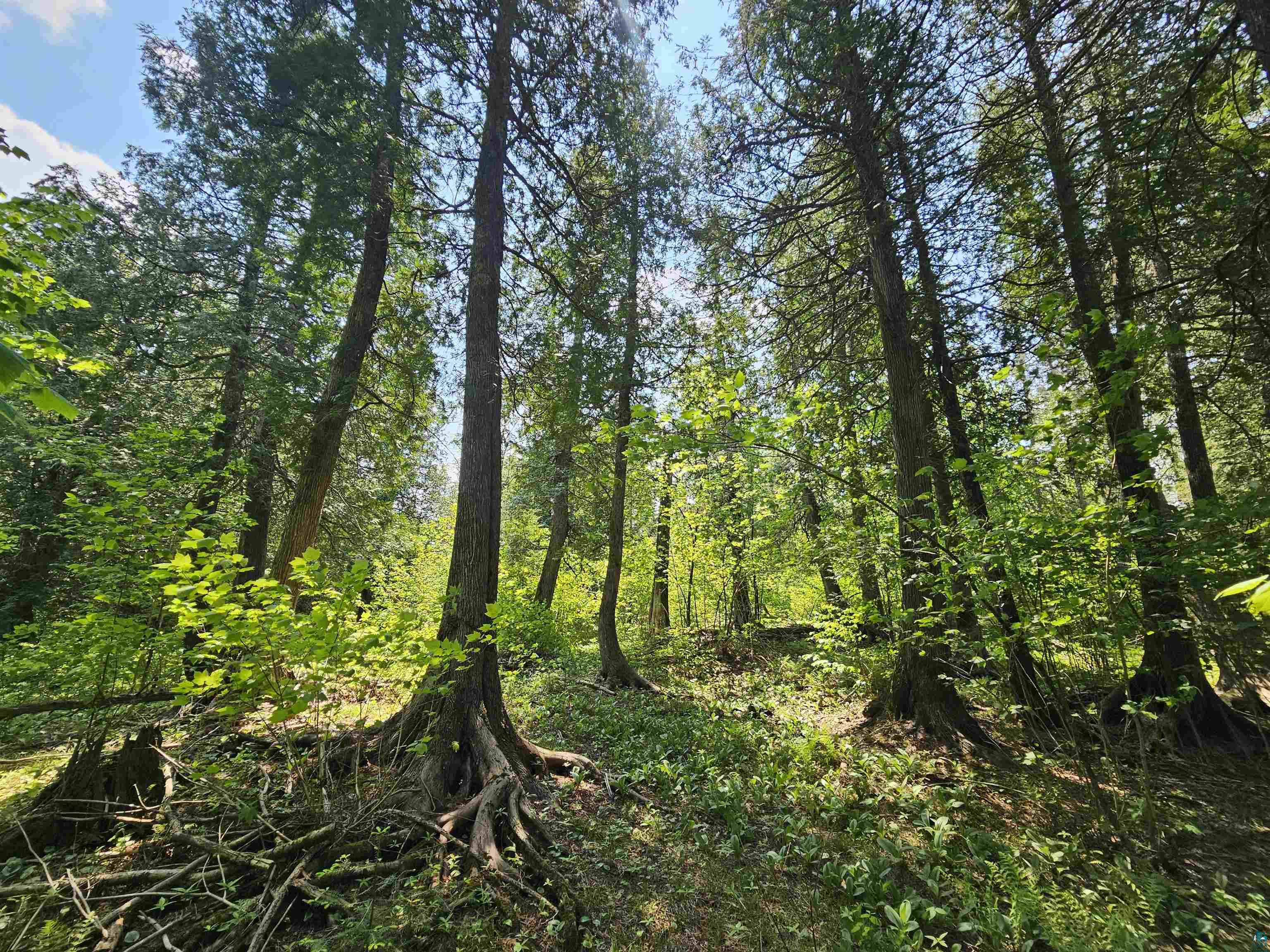 839 Loon Road Two Harbors, MN 55616 - Photo 26 of 26