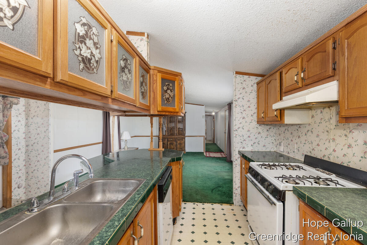 360 East Tuttle Road, Unit 183 Ionia, MI 48846 - Photo 8 of 16 KITCHEN FROM LAUNDRY AREA