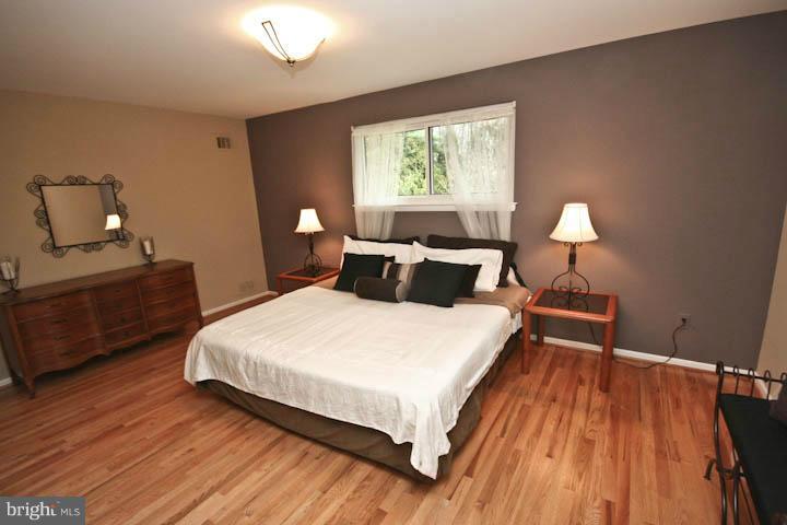 740 Whitaker Terrace Silver Spring, MD 20901 - Photo 12 of 29 Bedroom (Master)