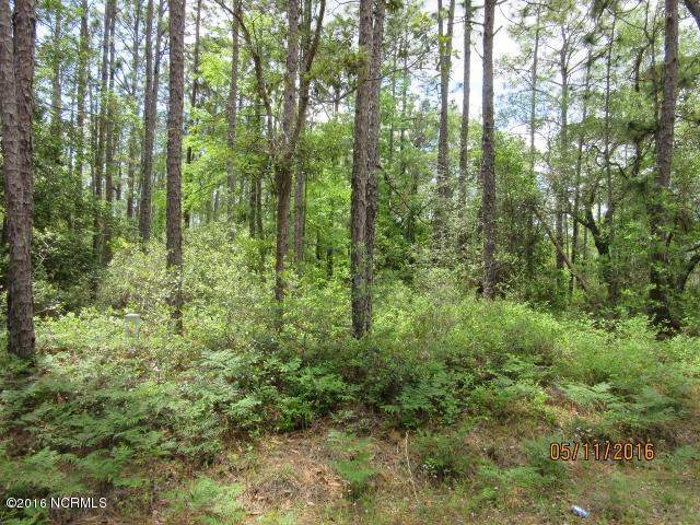 294 South High Point Road Southport, NC 28461 - Photo 1 of 12 high point 11