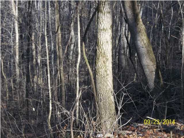 37 Stone Ridge Road, Unit 37 Pikeville, TN 37367 - Photo 1 of 7 Primary Photo