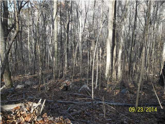 37 Stone Ridge Road, Unit 37 Pikeville, TN 37367 - Photo 4 of 7 Additional Photo