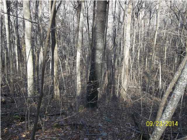 37 Stone Ridge Road, Unit 37 Pikeville, TN 37367 - Photo 5 of 7 Additional Photo