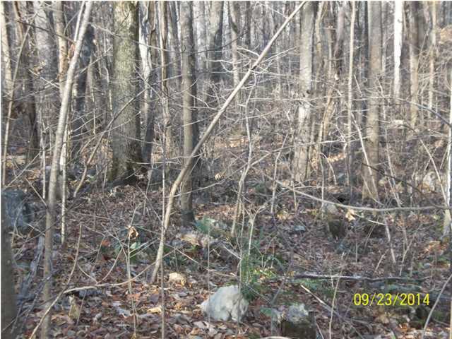 37 Stone Ridge Road, Unit 37 Pikeville, TN 37367 - Photo 6 of 7 Additional Photo