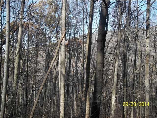 37 Stone Ridge Road, Unit 37 Pikeville, TN 37367 - Photo 7 of 7 Additional Photo
