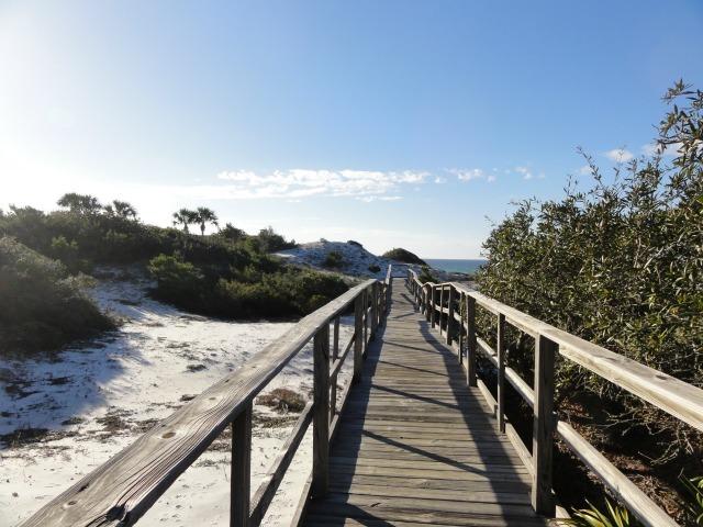 103 Morgans Trail Santa Rosa Beach, FL 32459 - Photo 54 of 63 beach-walk-640