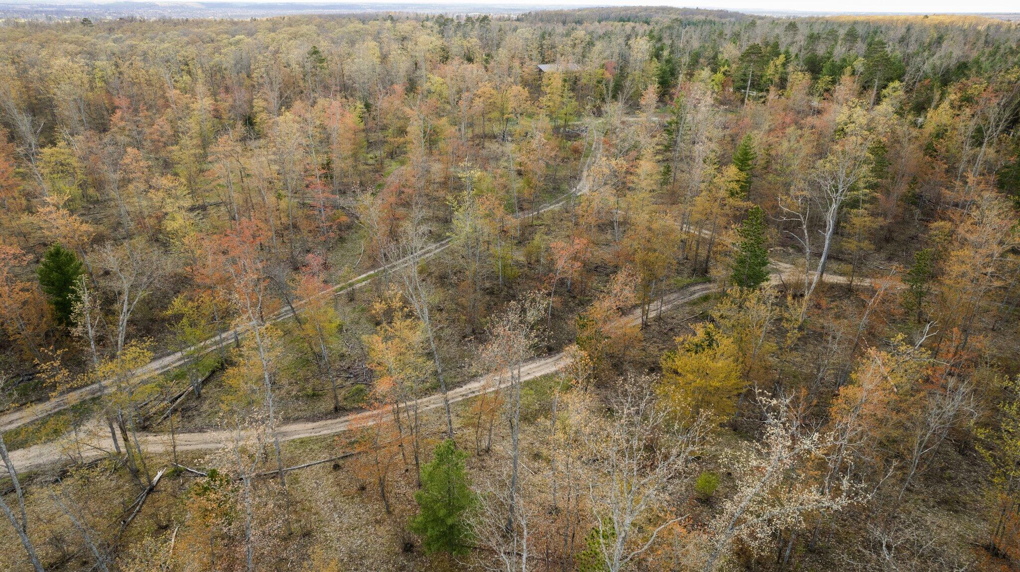 10-acres West Miller Road Lewiston, MI 49756 - Photo 12 of 43 Gallery Image 12