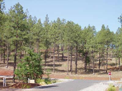 63 South Flagstaff Ranch Road, Unit 63 Flagstaff, AZ 86001 - Photo 2 of 3 Additional Photo
