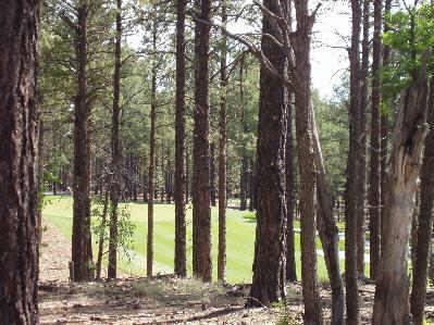 63 South Flagstaff Ranch Road, Unit 63 Flagstaff, AZ 86001 - Photo 3 of 3 Additional Photo