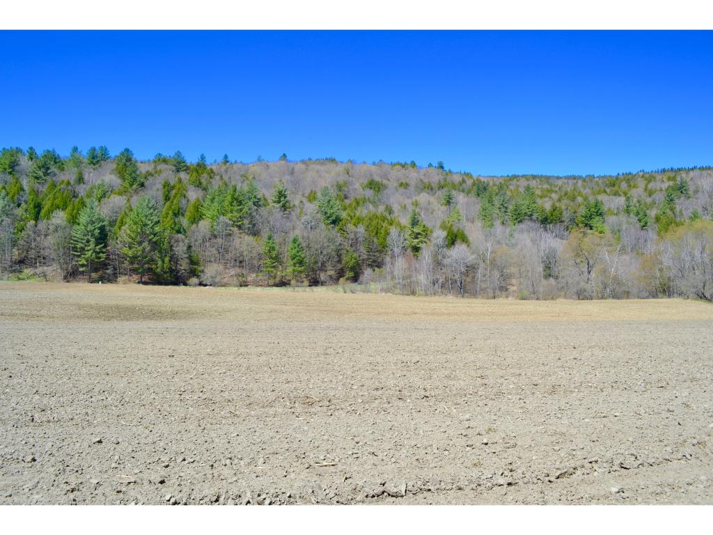 0 Butternut Hill Road Waitsfield, VT 05673 - Photo 4 of 10